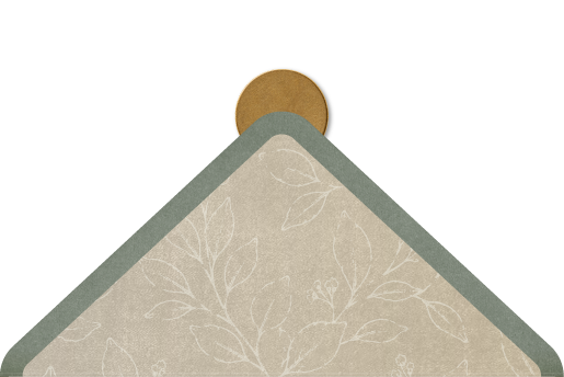 Flap atrás